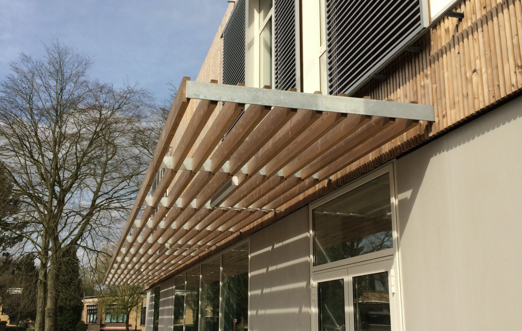 Horizontal canopies with Thermowood slats between them